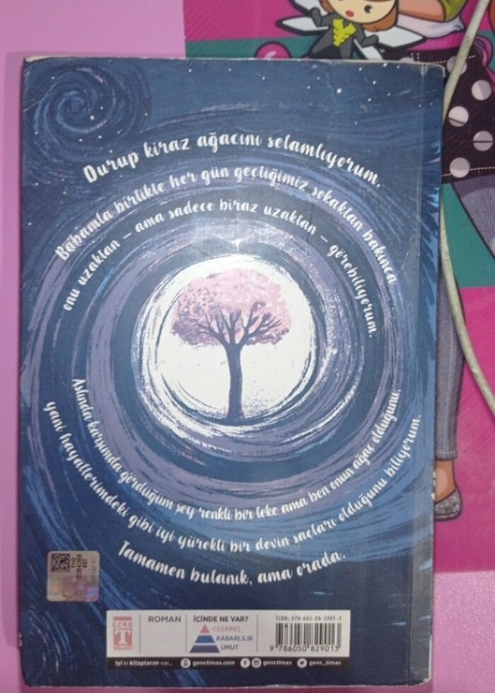 Kiraz ağacı ile aranızdaki mesafe - Görsel 2