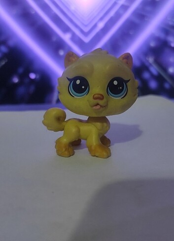 miniş