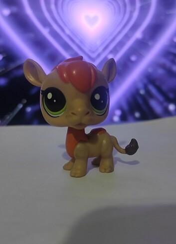 miniş