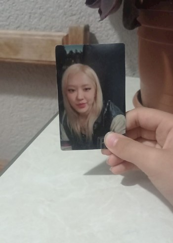 diğer Beden Rose pc