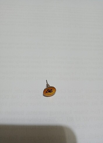 Kaliteli Erkek Küpeler 13 Adet Tamamı - Görsel 18