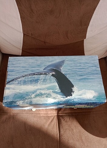 Vahşi Yaşam 20 DVD 20 Kitap (0) Yeni.Tam takım - Görsel 19