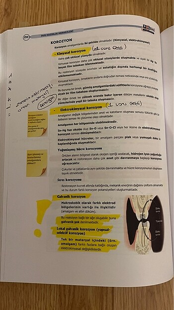 Beden Dusdata Restoratif şampiyonların notu