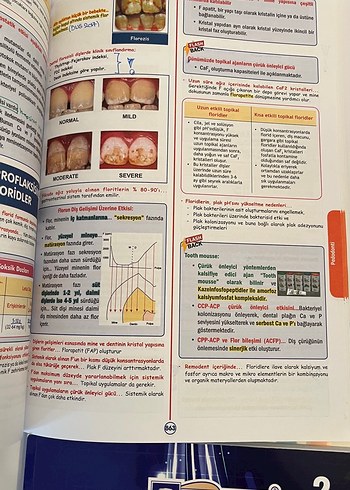 Beden Renk Rapidus Klinik ve Temel Bilimler 4 Cilt Sınav Kitapları