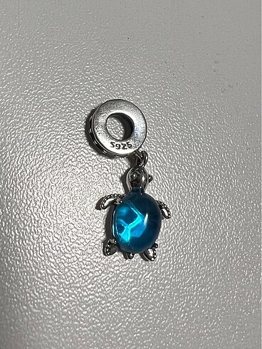 Pandora Pandora charm