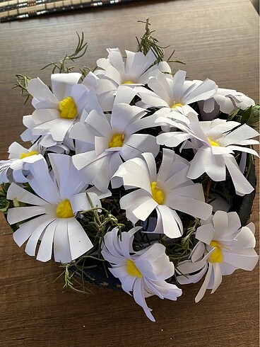 Flower Papatyalar