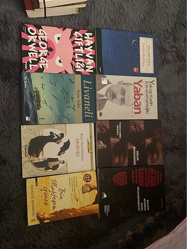 Hayvan çiftliği Son Ada Bir muhteşem güneş