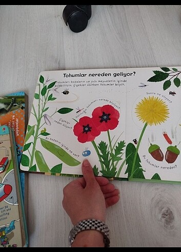  Beden Usborne kitap