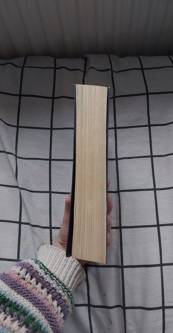 No. 26 - Beyza Alkoç - Görsel 2