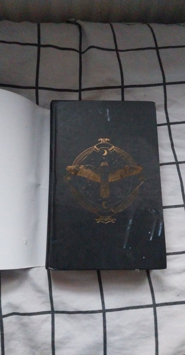 KALINTI II - Ceren Melek - Görsel 2