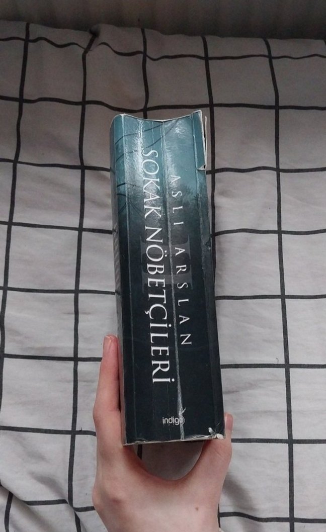 Sokak Nöbetçileri II - Aslı Arslan - Görsel 2