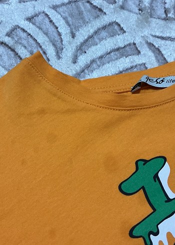 Renkli Baskılı Kısa Kollu Tişört - Görsel 3