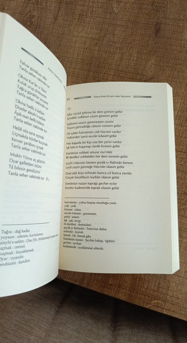 Yunus Emre Divanı'ndan Seçmeler Kitabı - Görsel 3