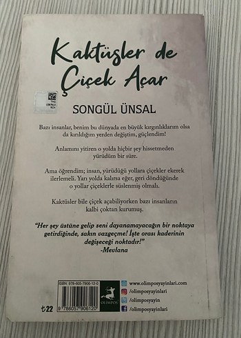 Kaktüsler de Çiçek Açar - Songül Ünsal - Görsel 2
