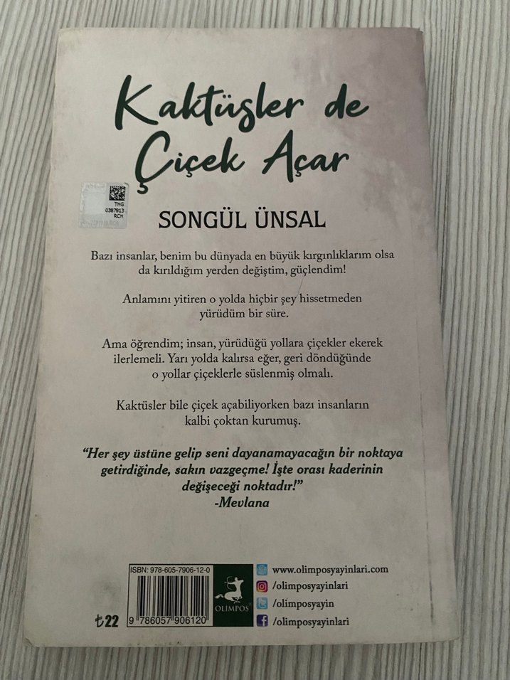 Kaktüsler de Çiçek Açar - Songül Ünsal - Görsel 2