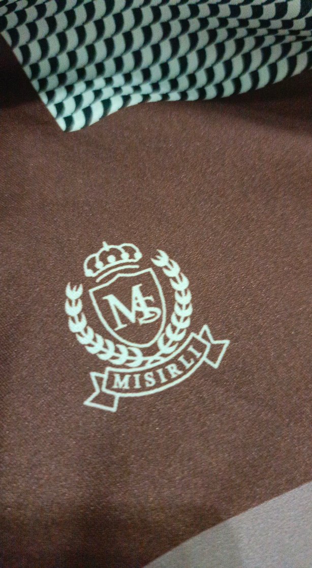 Kahverengi Modern Kadın Eşarp - Görsel 2