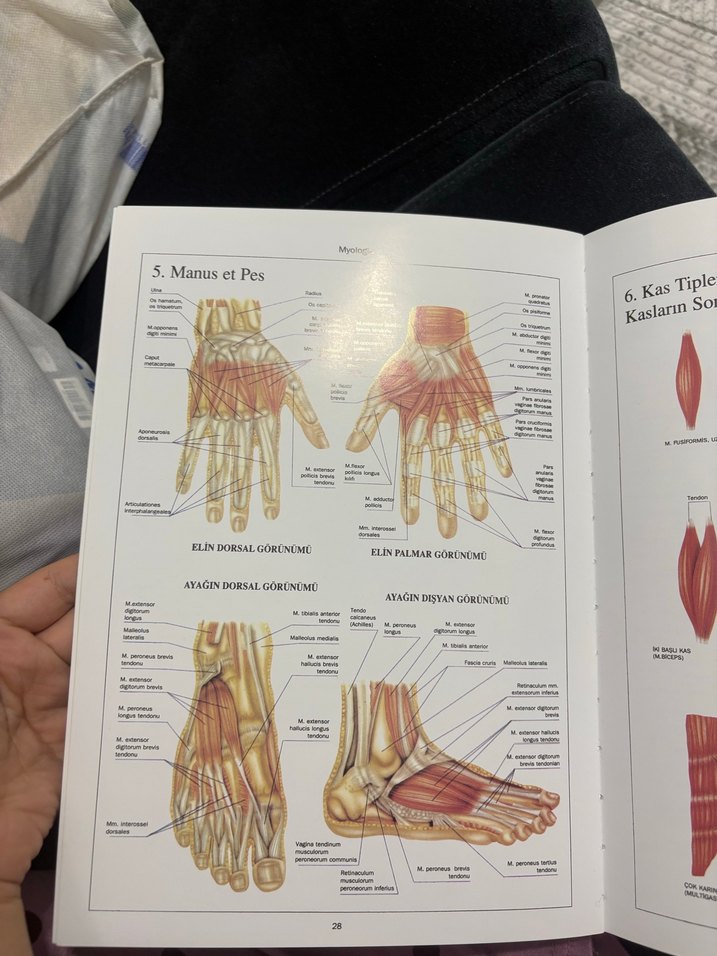 Anatomi Atlası ve Temel Hemşirelik Becerileri Kitapları - Görsel 2