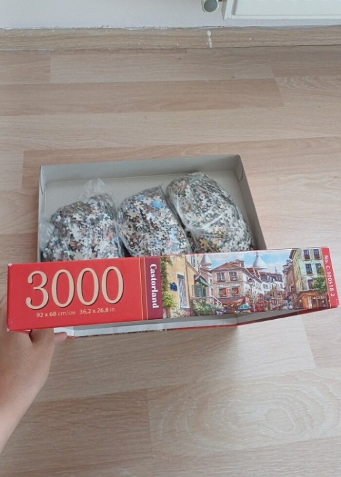 Castorland 3000 parça puzzle - Görsel 3