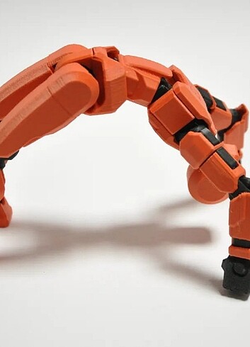 Beden Renk Lucky 13 Haraketli robot
