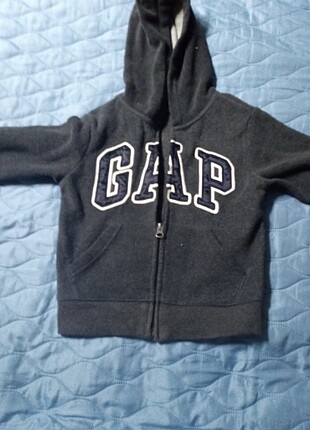 GAP Polar