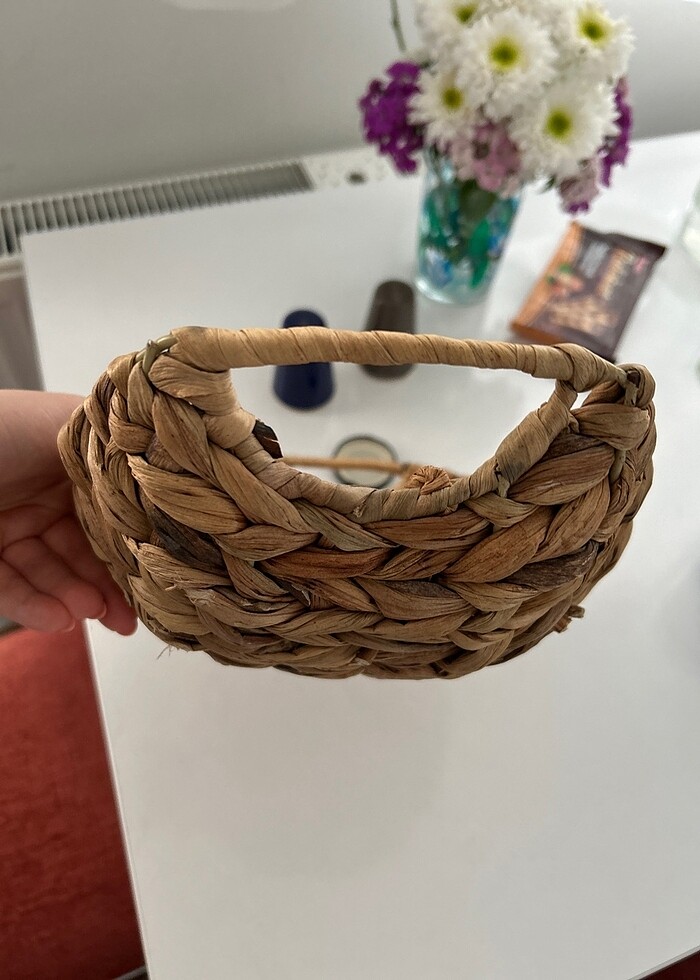 Meyve sepeti - Görsel 3