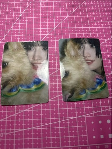 Momo pc (Yanına hediye koyuyorum)