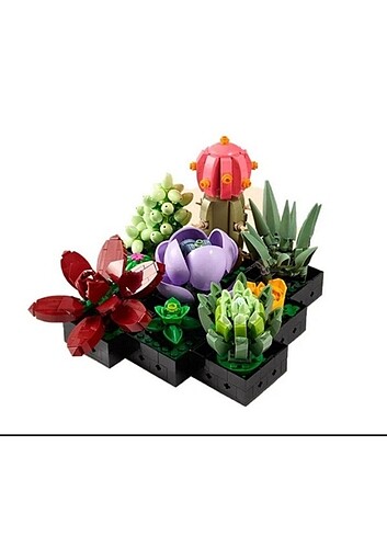 LEGO Creator Expert Sukulentler SIFIR - Görsel 5