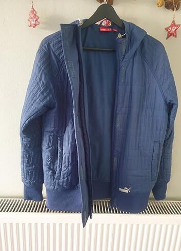 Diğer Puma mont.