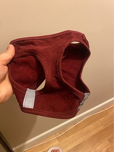 Kedi Gögüs Tasması (Reflektörlü) - Görsel 2