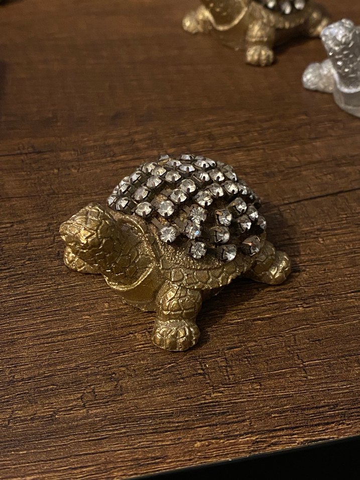 Kaplumbağa Figürleri - Görsel 3