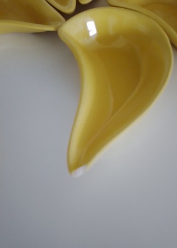 seramik hardal Sarısı 6lı Modern Tabak Seti - Görsel 6