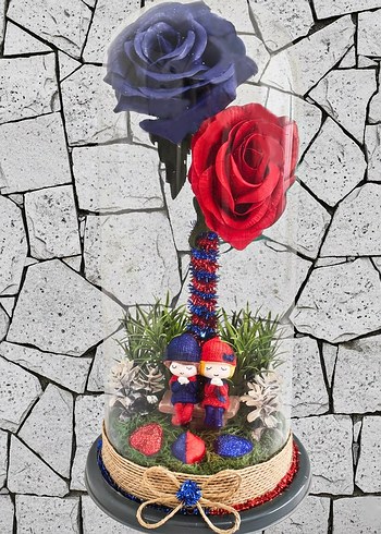 Fanus biblo  İki Gül ve Figürler - Görsel 3