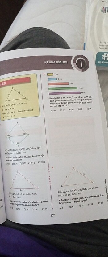  Beden Renk Tyt-Ayt geometri