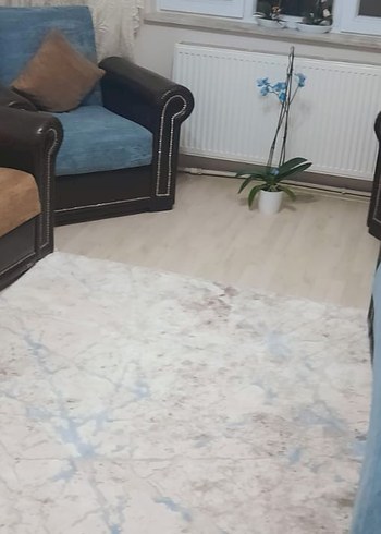 Beden lacivert Renk oturma grubu
