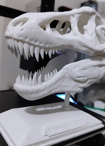 Diğer T-REX FOSİL