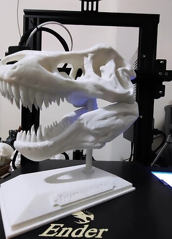 Beden T-REX FOSİL
