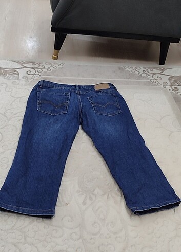 Kadın kapri - Görsel 3