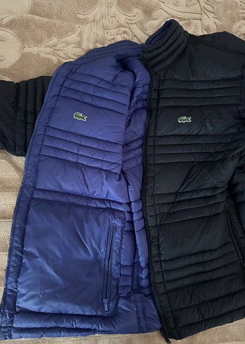 Orjnal Lacoste mont