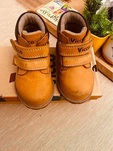 22 Beden Vicco bot