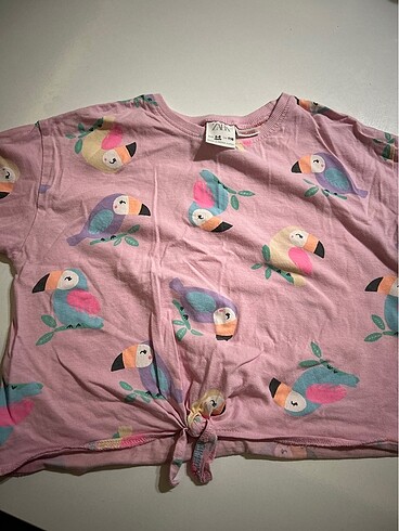 Zara kız çocuk tshirt