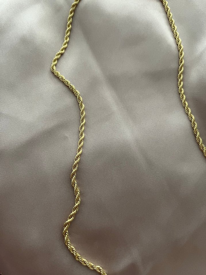 Altın Renk Burgu Model Uzun Kadın Çelik Kolye - Görsel 3