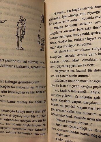 Beden Domates Saçlı Kız - Sevim Ak