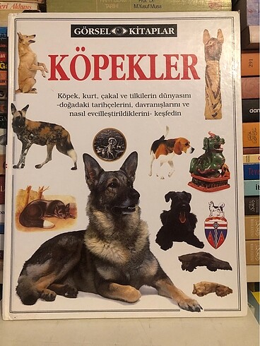 Köpekler - Görsel Kitaplar