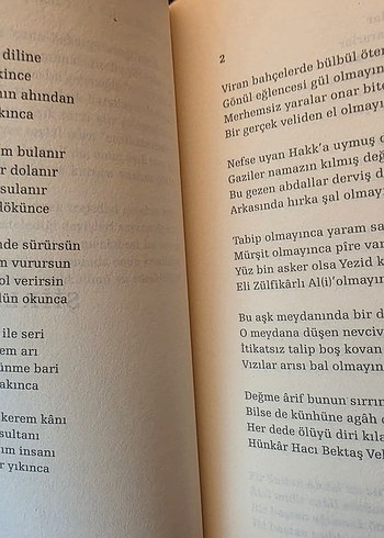 Pir Sultan Abdal - Geçti Dost Kervanı - Görsel 6