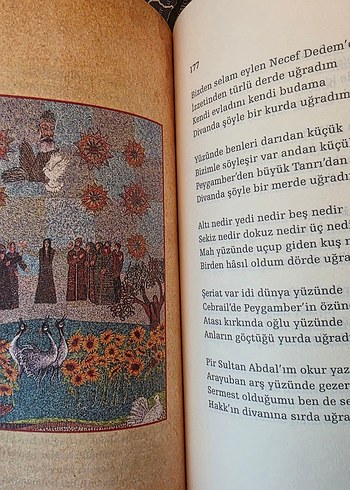 Pir Sultan Abdal - Geçti Dost Kervanı - Görsel 8