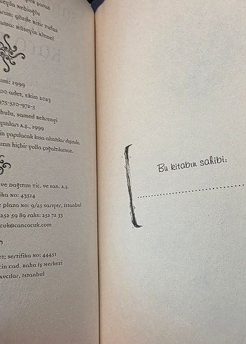 Küçük Kara Balık - Samed Behrengi - Görsel 4