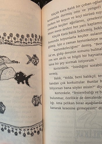 Küçük Kara Balık - Samed Behrengi - Görsel 6