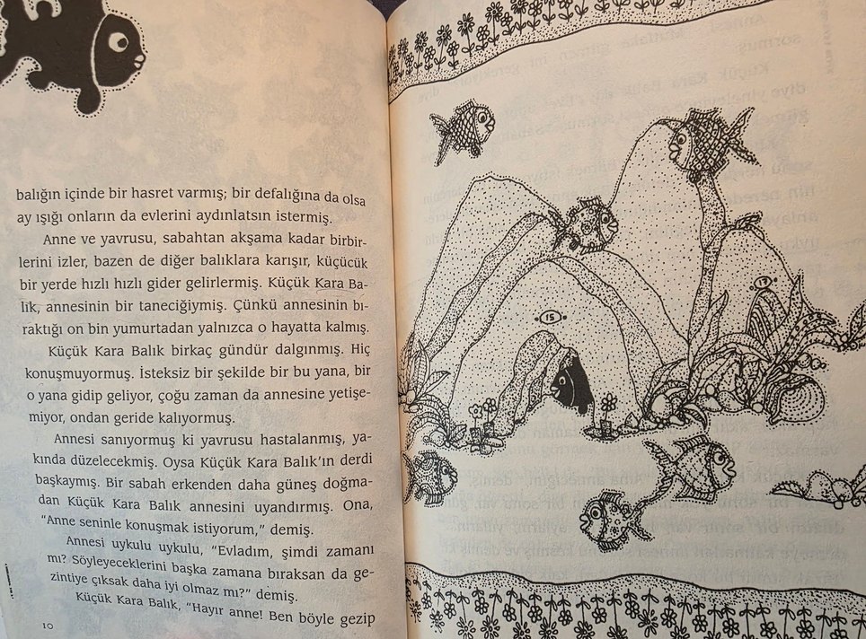 Küçük Kara Balık - Samed Behrengi - Görsel 5