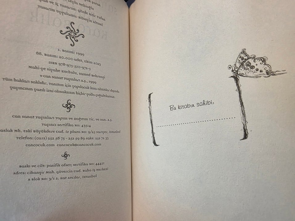 Küçük Kara Balık - Samed Behrengi - Görsel 4