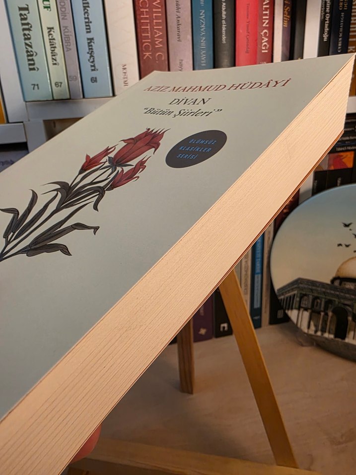 Aziz Mahmud Hüdayi - Divan Bütün Şiirleri - Görsel 2